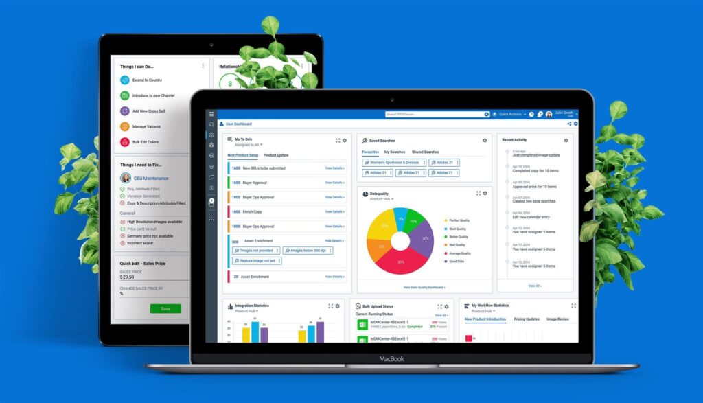 What is Master Data Management